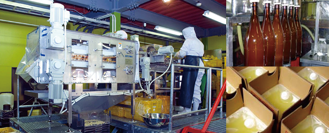 Hand squeezing manufanturing method (Yuzunada citrus press machine)